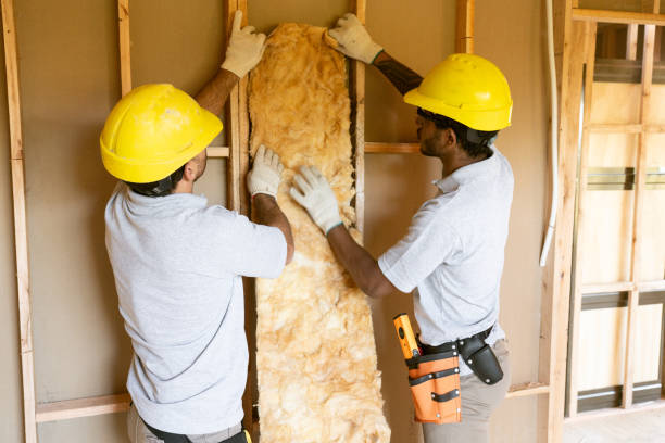 Best Attic Insulation Installation  in Conover, NC